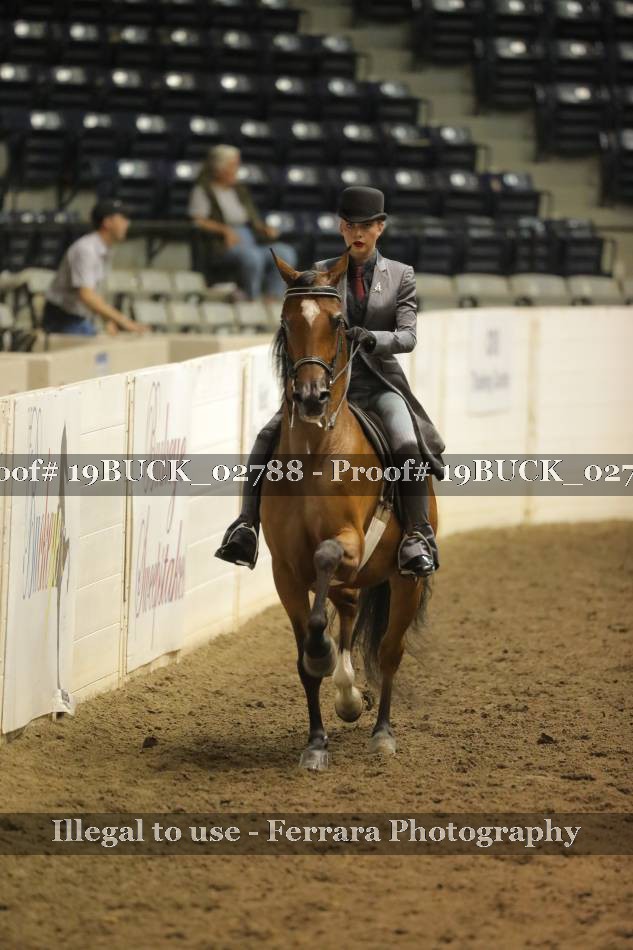 Proof 19BUCK_02788