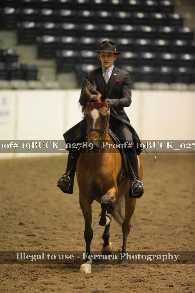 Proof 19BUCK_02789
