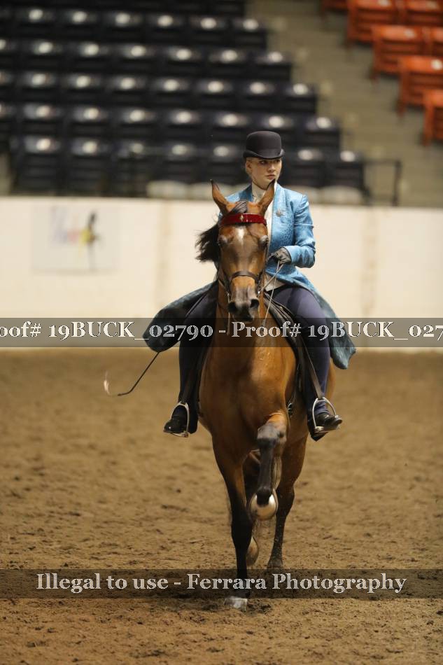 Proof 19BUCK_02790