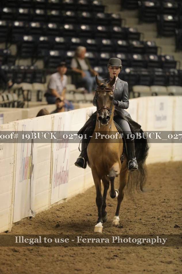 Proof 19BUCK_02791