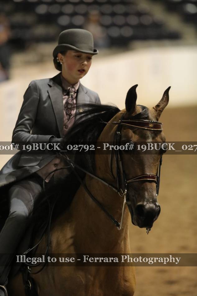 Proof 19BUCK_02792