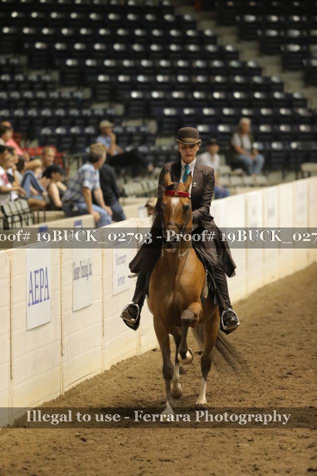 Proof 19BUCK_02793