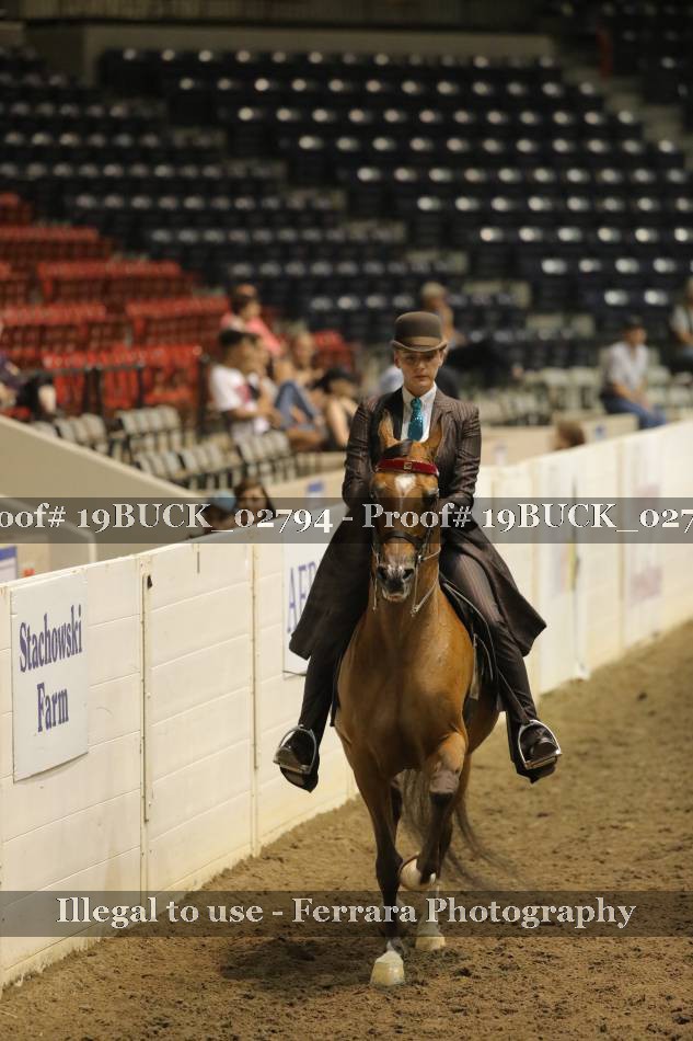 Proof 19BUCK_02794