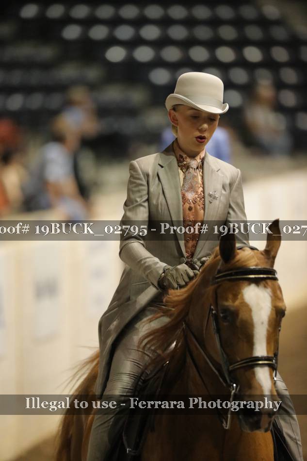 Proof 19BUCK_02795