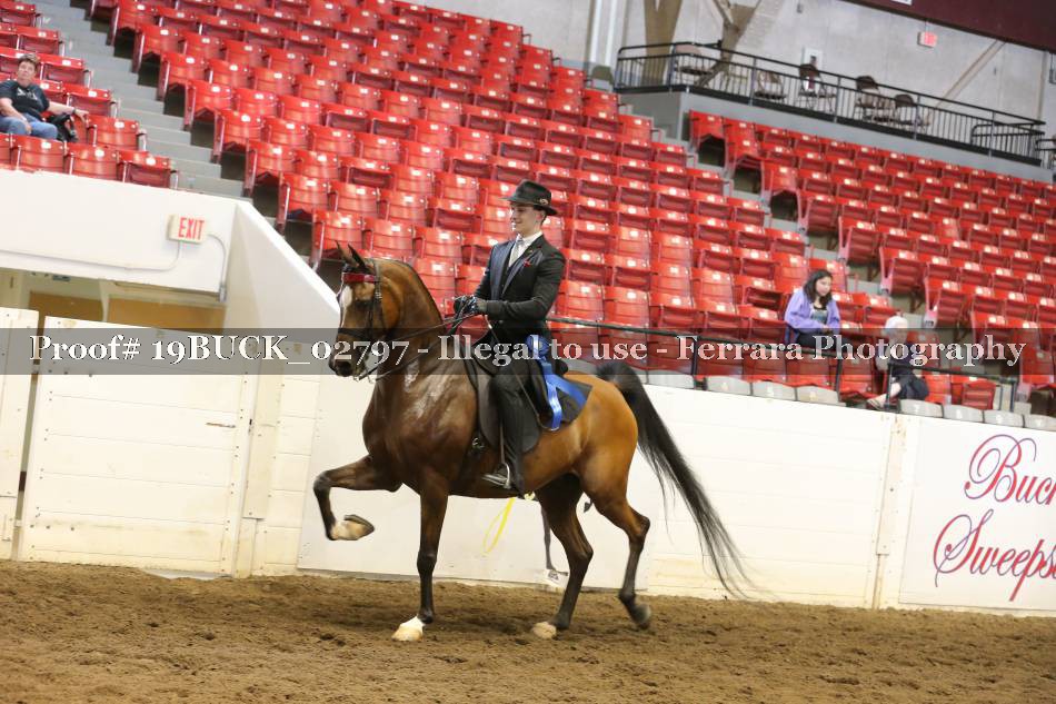 Proof 19BUCK_02797