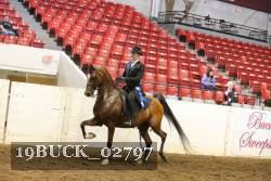 19BUCK_02797 proof