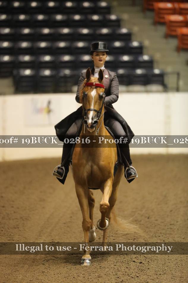 Proof 19BUCK_02816
