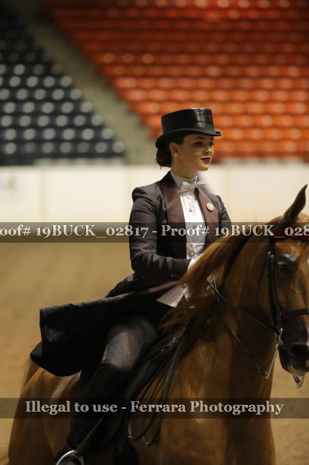 Proof 19BUCK_02817