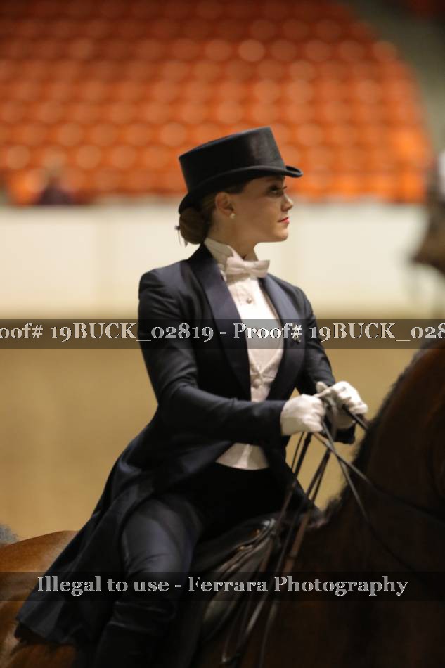 Proof 19BUCK_02819