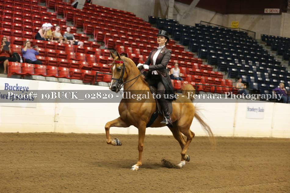 Proof 19BUCK_02820