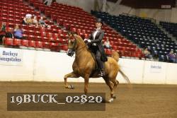 19BUCK_02820 proof