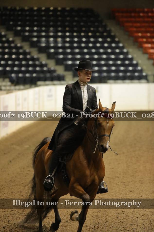 Proof 19BUCK_02821