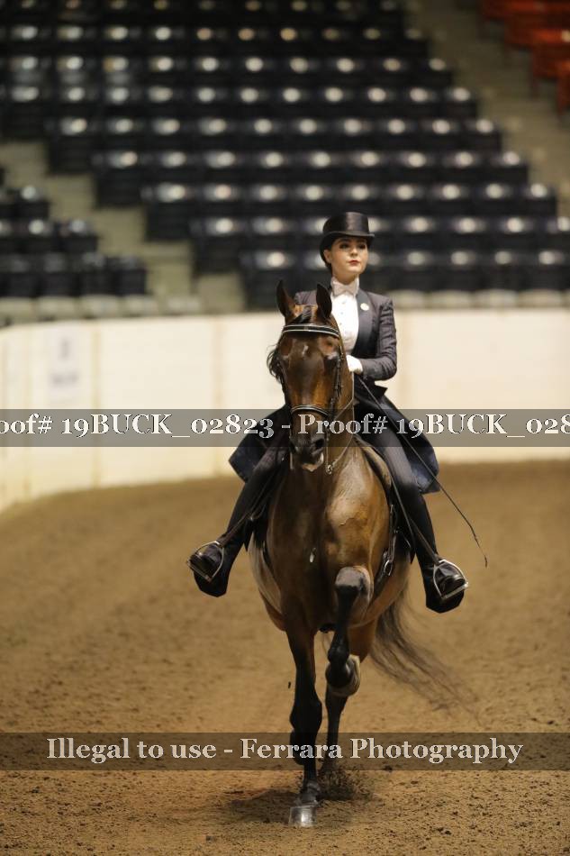 Proof 19BUCK_02823