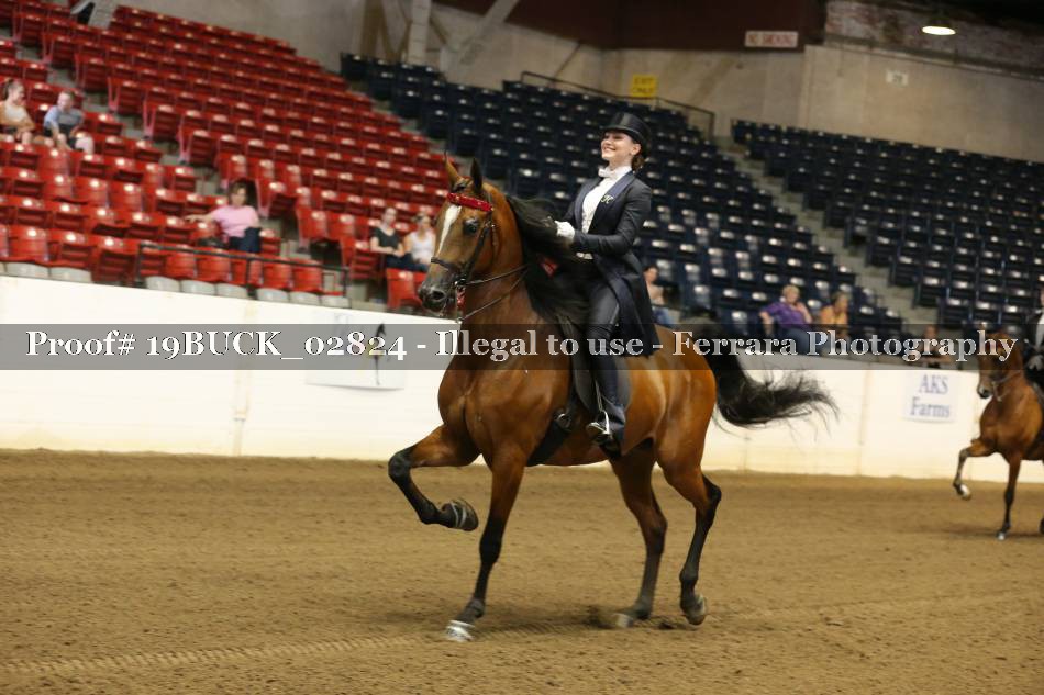 Proof 19BUCK_02824