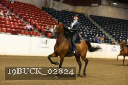 19BUCK_02824 proof