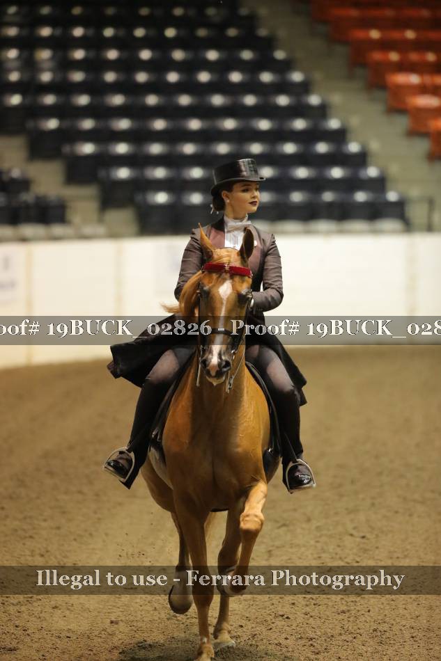 Proof 19BUCK_02826