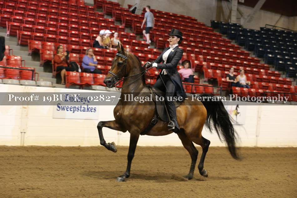 Proof 19BUCK_02827