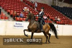 19BUCK_02827 proof