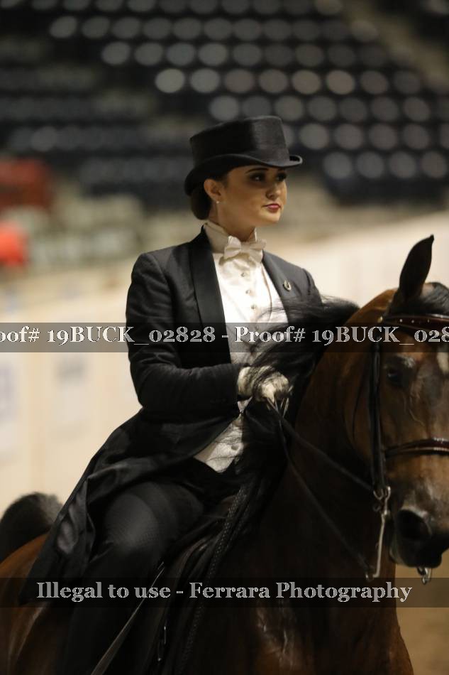 Proof 19BUCK_02828