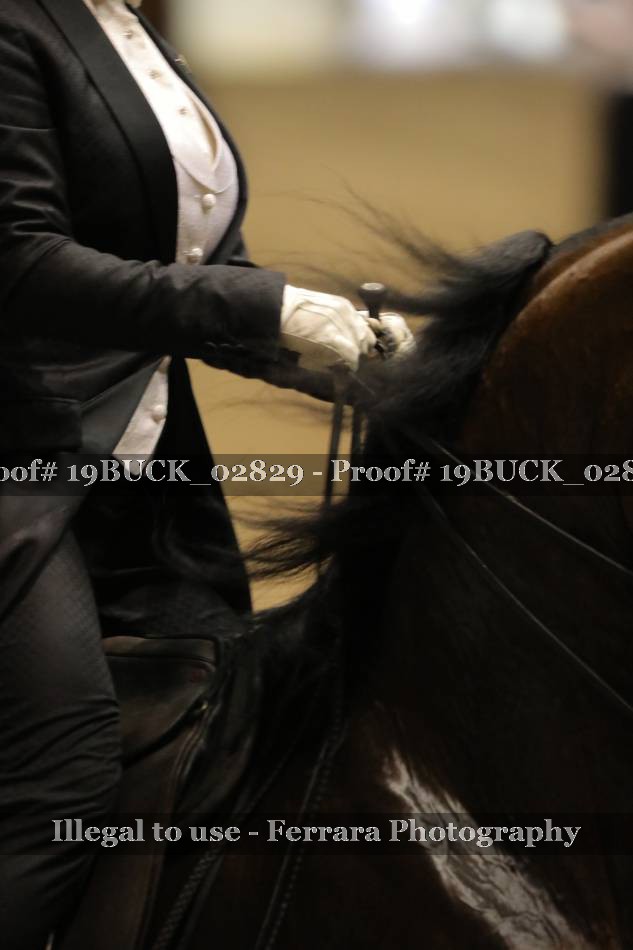 Proof 19BUCK_02829