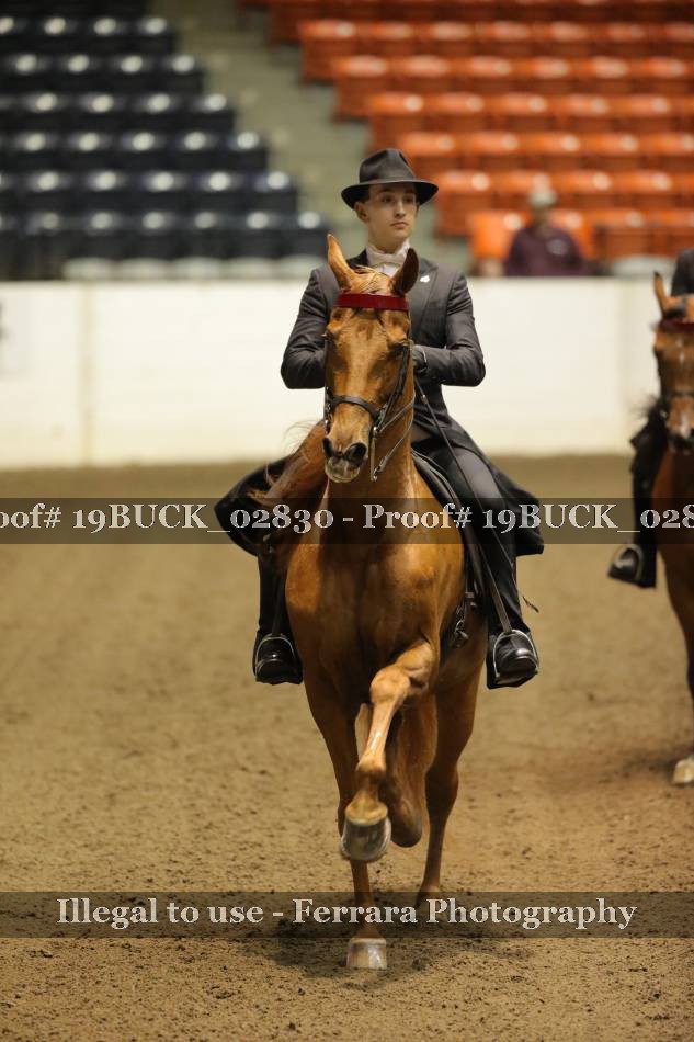 Proof 19BUCK_02830