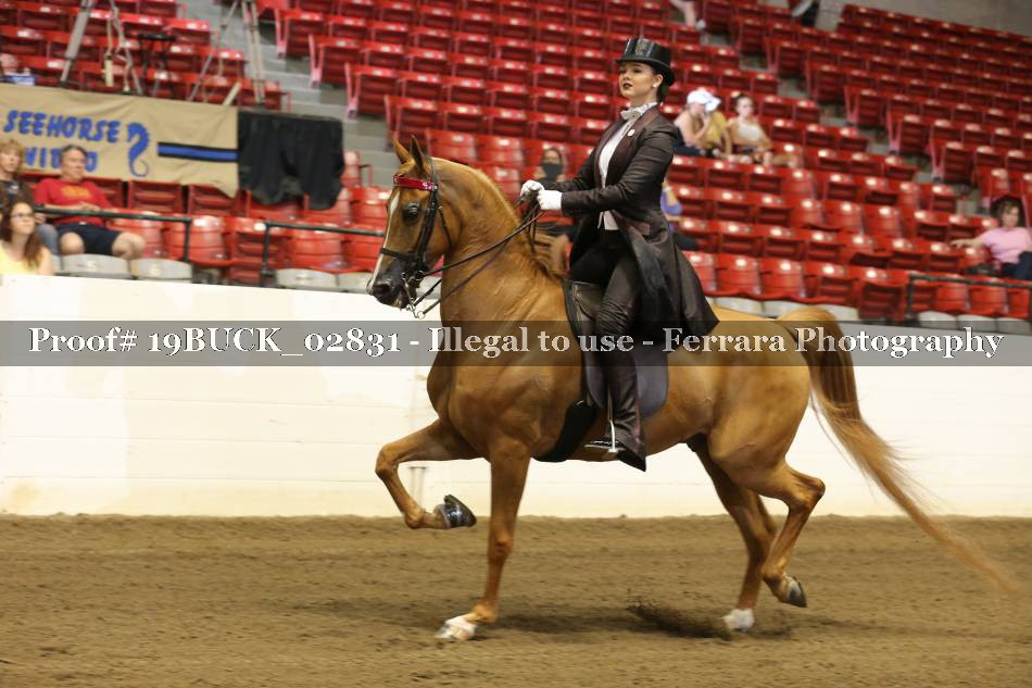 Proof 19BUCK_02831