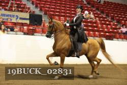 19BUCK_02831 proof