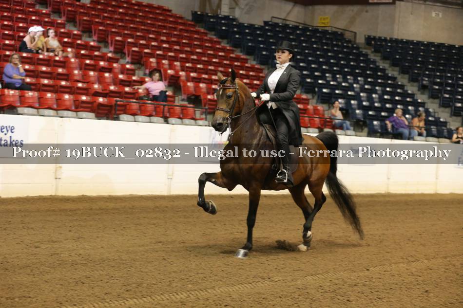 Proof 19BUCK_02832