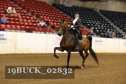 19BUCK_02832 proof