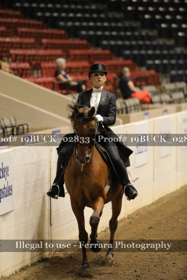 Proof 19BUCK_02833