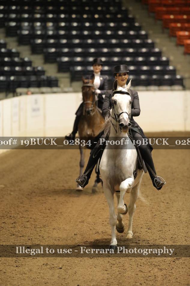 Proof 19BUCK_02834