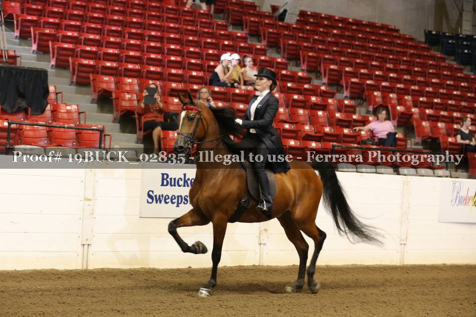 Proof 19BUCK_02835