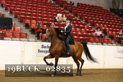 19BUCK_02835 proof