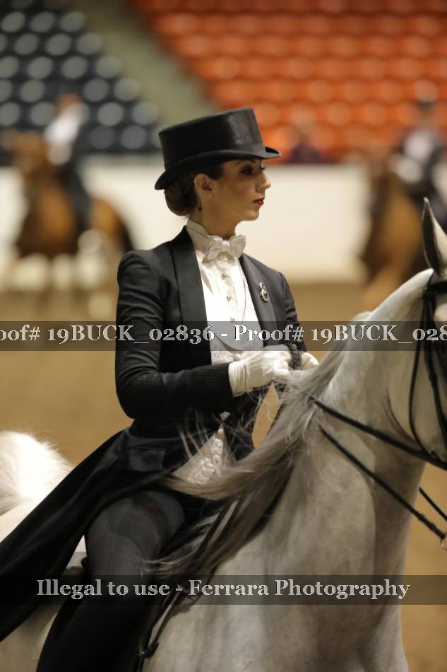 Proof 19BUCK_02836