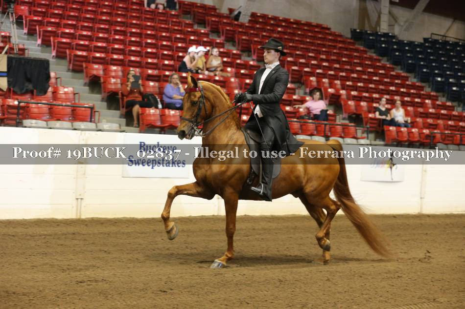 Proof 19BUCK_02837