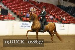 19BUCK_02837 proof