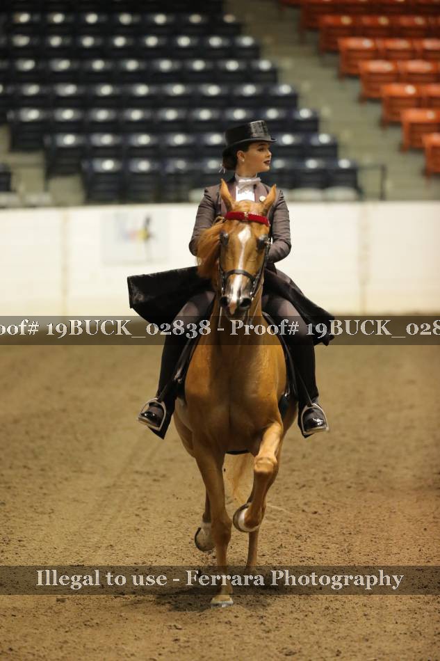Proof 19BUCK_02838