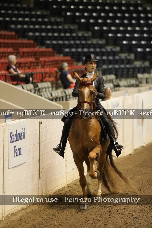 Proof 19BUCK_02839