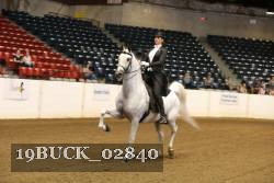 19BUCK_02840 proof