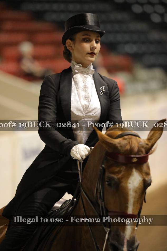 Proof 19BUCK_02841