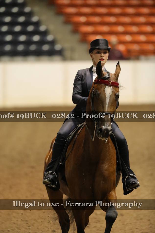 Proof 19BUCK_02842