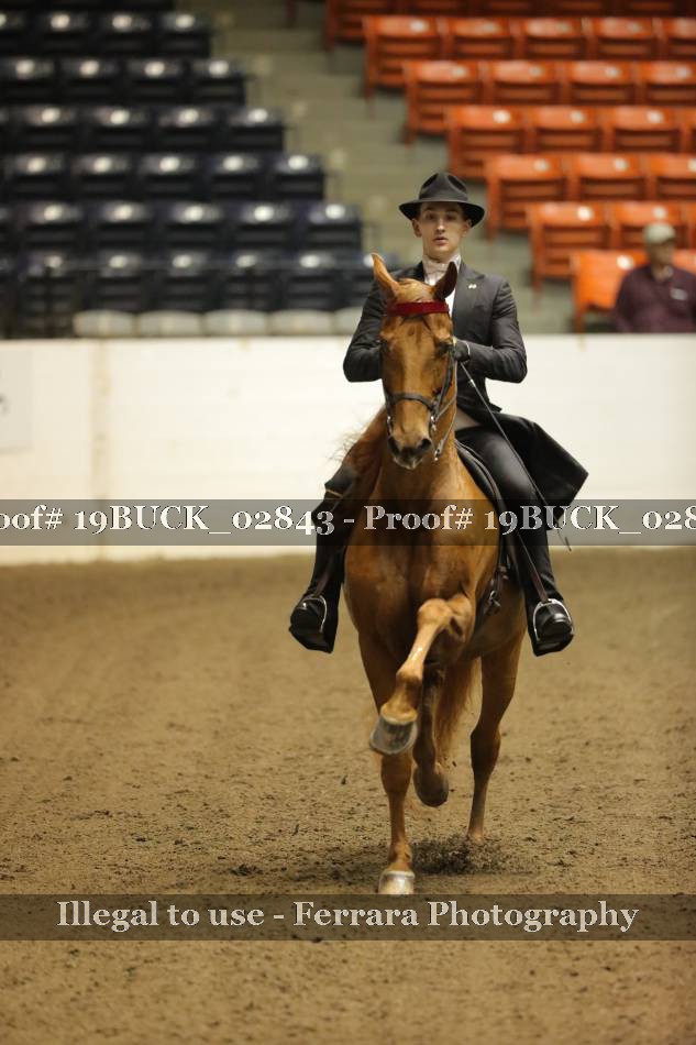 Proof 19BUCK_02843