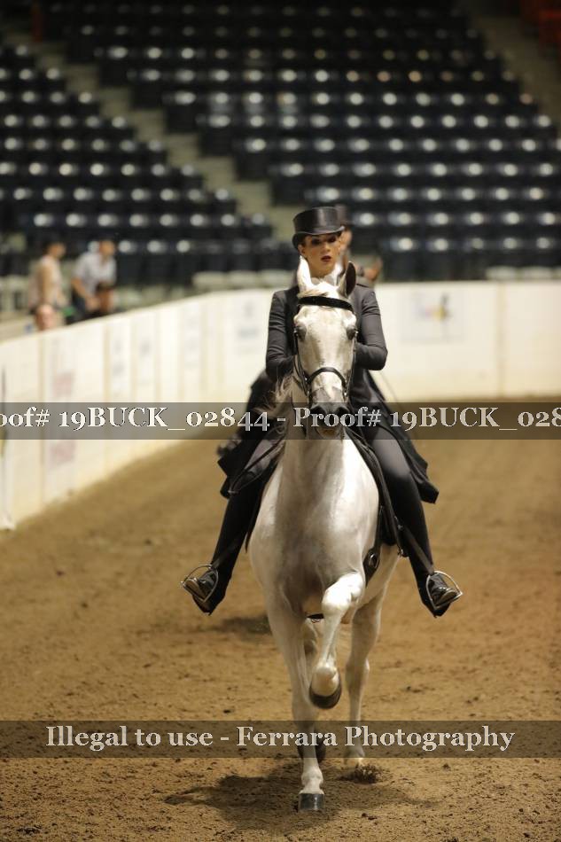 Proof 19BUCK_02844