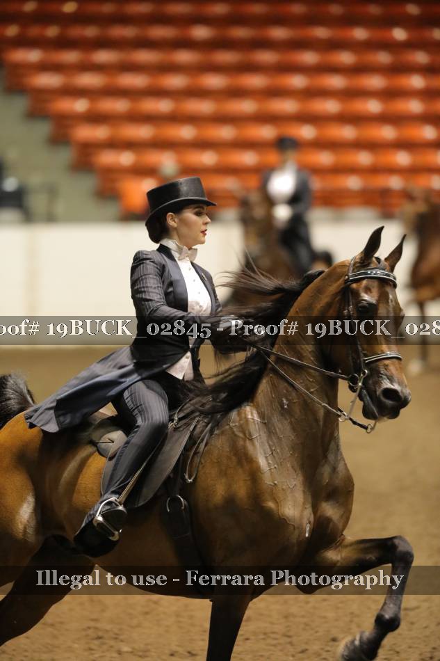 Proof 19BUCK_02845