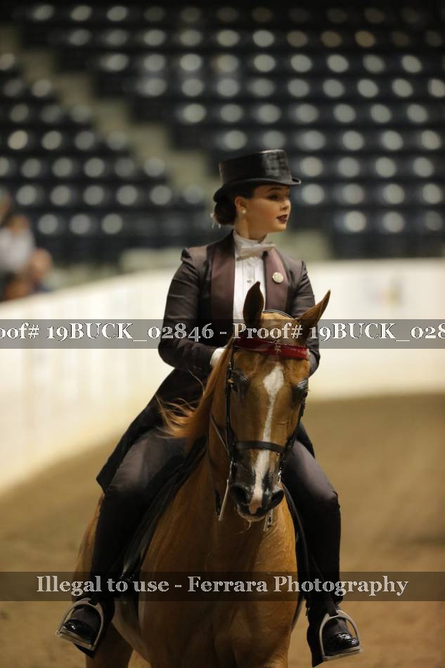 Proof 19BUCK_02846