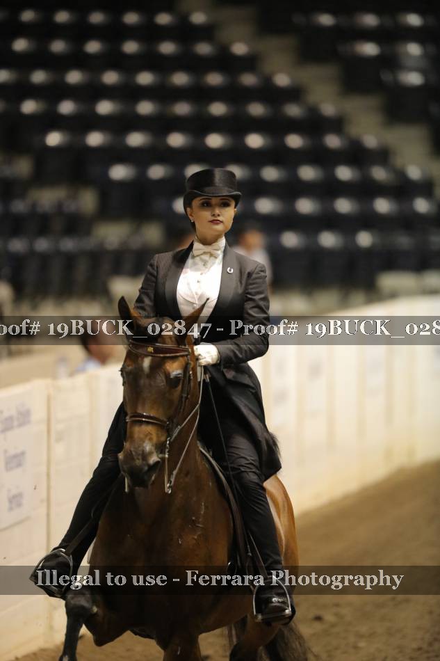 Proof 19BUCK_02847