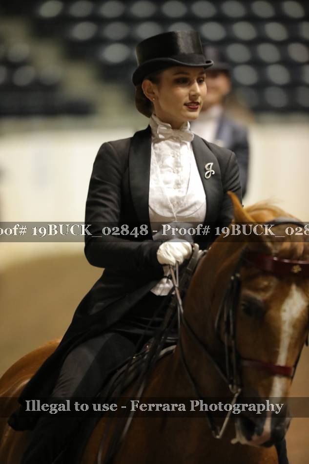 Proof 19BUCK_02848