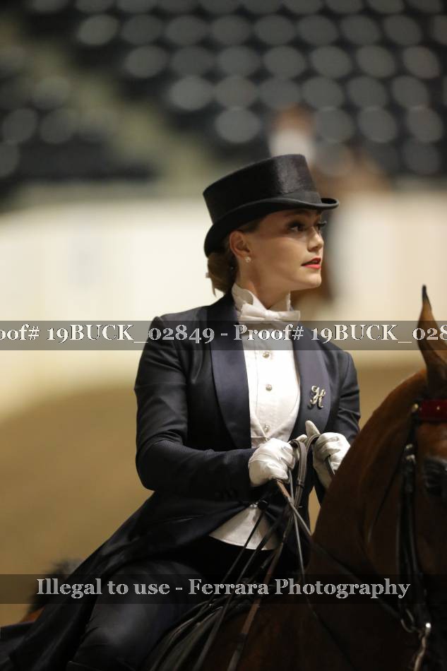 Proof 19BUCK_02849