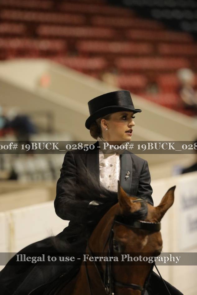 Proof 19BUCK_02850