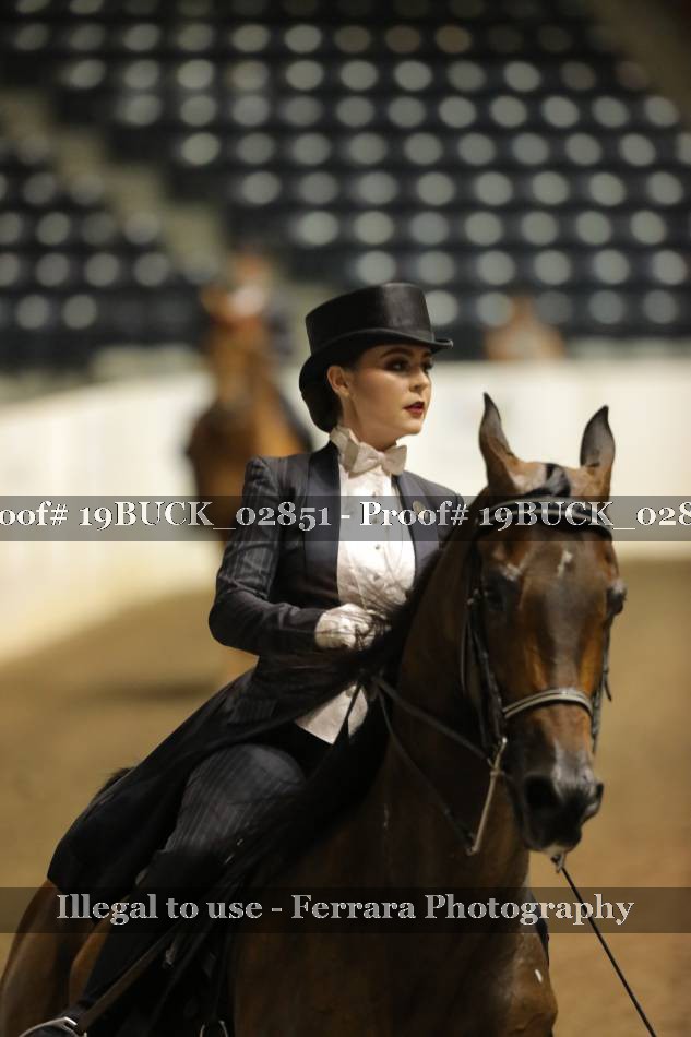 Proof 19BUCK_02851